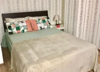 Сдам в аренду однокомнатную квартиру, 55 м2, Самара, Самарская улица, 265, метро Российская