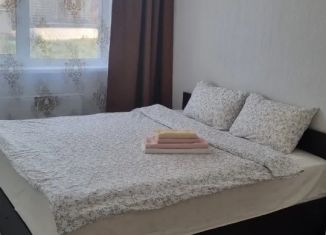 Сдаю в аренду 2-комнатную квартиру, 55 м2, Ленинградская область, проспект Строителей, 1к1