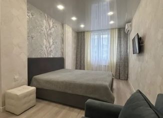 Сдаю в аренду однокомнатную квартиру, 45 м2, Самара, Молодёжная улица, 2А