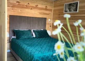 Сдаю дом, 27 м2, Республика Алтай, Озёрная улица, 19