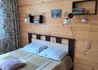 Аренда дома, 32 м2, Республика Алтай, Уютная улица, 47