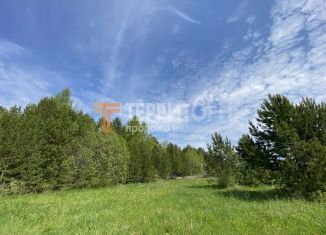 Продам земельный участок, 21.6 сот., село Усть-Качка, Лебединая улица, 31