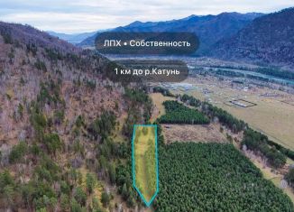 Продам участок, 10 сот., Республика Алтай
