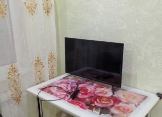 Сдается в аренду 1-комнатная квартира, 41.9 м2, Саха (Якутия), 203-й микрорайон, 32