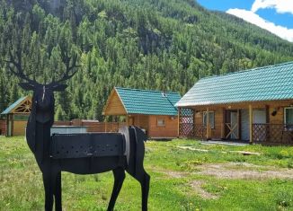 Сдача в аренду дома, 9 м2, Республика Алтай, Садовая улица, 14