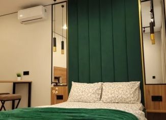Сдаю в аренду квартиру студию, 23 м2, Адыгея, улица К.А. Васильева, 2к3