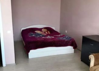 1-ком. квартира в аренду, 40 м2, Адыгея, улица Иркутско-Пинской Дивизии, 3/3