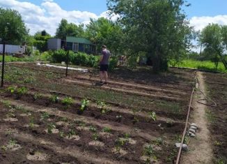 Продам дачу, 6 м2, Саратовская область