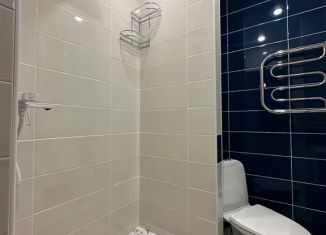 Сдаю 1-комнатную квартиру, 50 м2, Владимирская область, проспект Строителей, 9к1