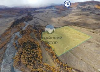 Продается участок, 667 сот., Республика Алтай