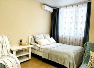 Сдача в аренду квартиры студии, 30 м2, Белгородская область, улица Попова, 37