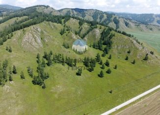 Продажа участка, 250 сот., Республика Алтай