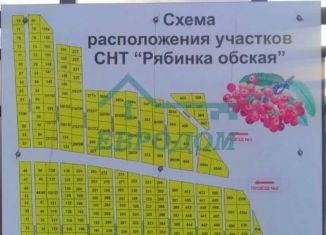 Продаю земельный участок, 5.3 сот., Новосибирская область, Западная улица, 7