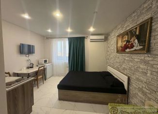 Продаю квартиру студию, 23.7 м2, Самара, проспект Карла Маркса, 4Е