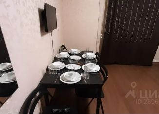 Сдаю в аренду дом, 40 м2, деревня Сельвачёво, деревня Сельвачёво, 128