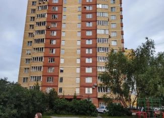 Четырехкомнатная квартира на продажу, 145 м2, Челябинск, улица Бейвеля, 1