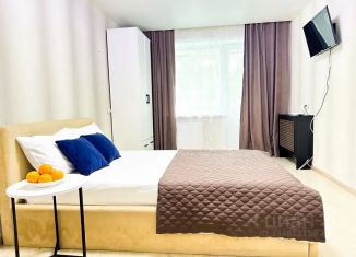 Сдача в аренду 1-комнатной квартиры, 30 м2, Курган, 6-й микрорайон, 4