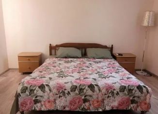 Сдаю в аренду дом, 45 м2, Краснодарский край, микрорайон Садовод, 8Б