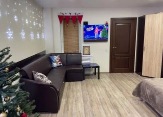 Аренда 1-комнатной квартиры, 36 м2, Валдай, улица Радищева, 14