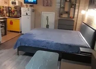 Сдается в аренду дом, 36 м2, Краснодарский край, улица Шевченко, 250