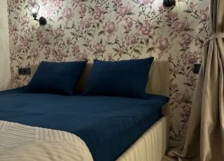 Сдача в аренду квартиры студии, 35 м2, Курган, улица Васильева, 4