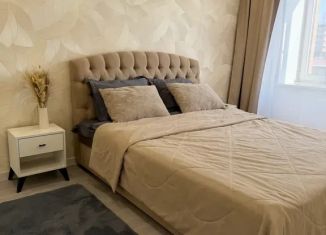 Сдача в аренду 2-комнатной квартиры, 53 м2, Чита, улица Ленина