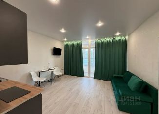 Сдается 1-ком. квартира, 30 м2, Чита, микрорайон Каштакский, 7