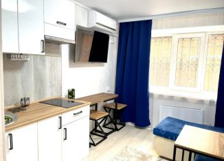 Сдаю в аренду квартиру студию, 20 м2, Шадринск, улица Карла Маркса, 82Б