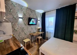 Сдам в аренду квартиру студию, 22.6 м2, Иркутская область, микрорайон Юбилейный, 117/1