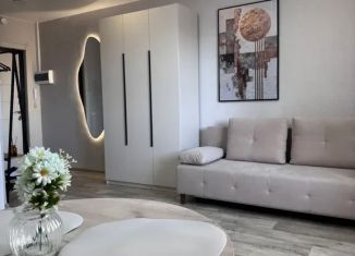 Сдам в аренду квартиру студию, 27 м2, Курган, 7-й микрорайон, 22