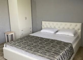 Сдается дом, 60 м2, село Архипо-Осиповка, улица Строителей, 20