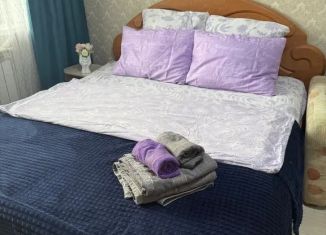 Аренда однокомнатной квартиры, 40 м2, Чита, 3-й микрорайон, 12