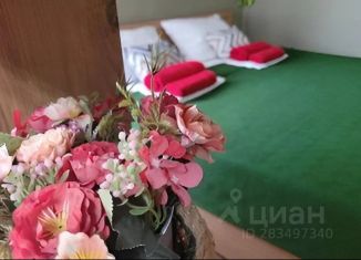 Сдается дом, 40 м2, Сочи, СТ Бриз, 12В