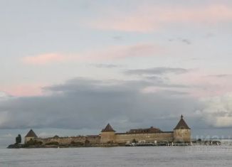 Сдаю в аренду дом, 70 м2, Ленинградская область, деревня Шереметьевка, 40